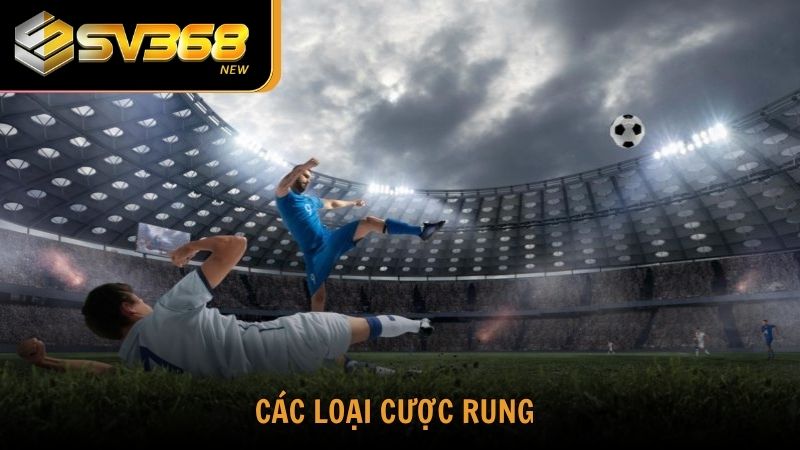 Tìm hiểu các loại cược rung là gì cùng SV368
