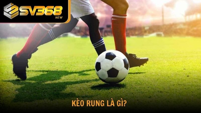 Tìm hiểu thông tin kèo rung là gì cùng SV368