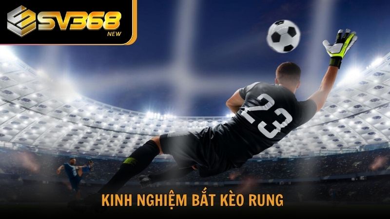 Khám phá kinh nghiệm bắt kèo rung là gì?